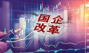 熊貓體育：2024年寵物用品行業(yè)發(fā)展現(xiàn)狀及發(fā)展趨勢分析(圖2)