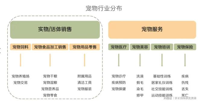 疫情后時代中國寵物行業市場與現階段趨勢分析(圖3)