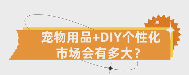 DIY小眾產品賺大錢！個性化寵物用品增長跨境新賽道！(圖1)