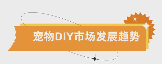 DIY小眾產品賺大錢！個性化寵物用品增長跨境新賽道！(圖6)