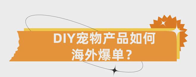 DIY小眾產品賺大錢！個性化寵物用品增長跨境新賽道！(圖12)