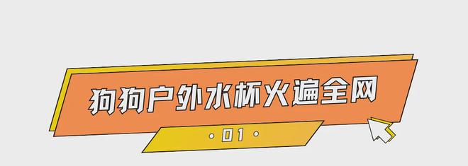 熊貓體育官網：價值千億美元市場狗狗戶外水杯出海爆單寵物戶外到底多吸金？(圖1)